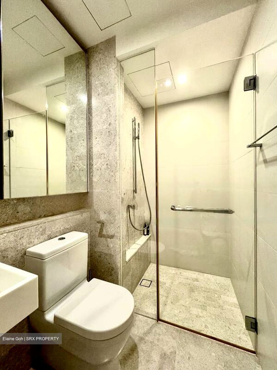 The Azure (D4), Condominium #486892851